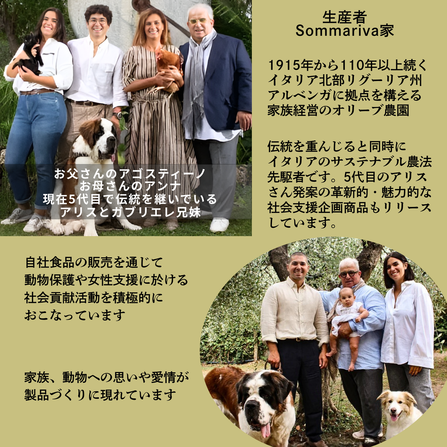 ＊マイルドでエレガント　Sommariva（ソンマリヴァ）【 Muela / ムエラ 】エクストラヴァージン・オリーブオイル　100ml