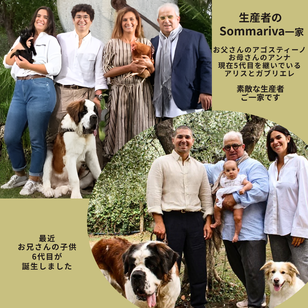 ＊マイルドでエレガント　Sommariva（ソンマリヴァ）【 Muela / ムエラ 】エクストラヴァージン・オリーブオイル  500ml