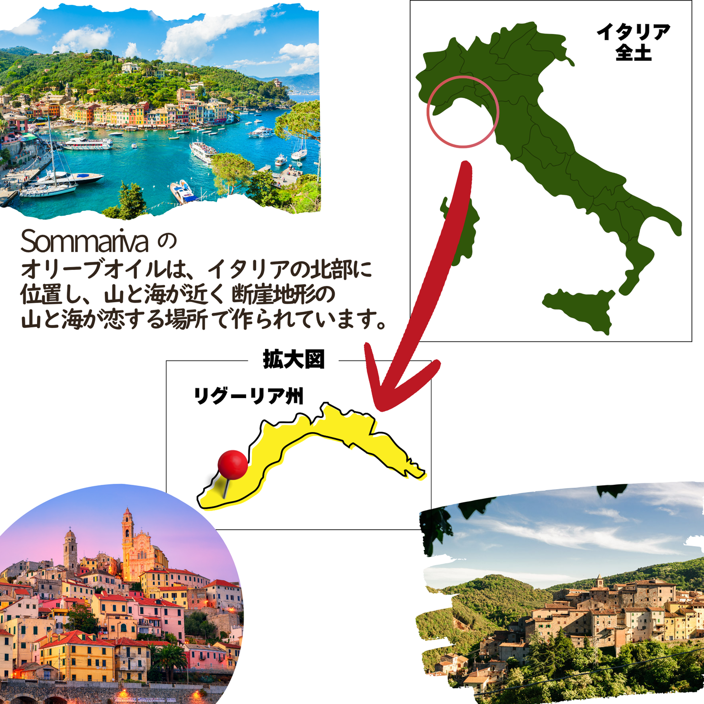 ＊マイルドでエレガント　Sommariva（ソンマリヴァ）【 Muela / ムエラ 】エクストラヴァージン・オリーブオイル　100ml